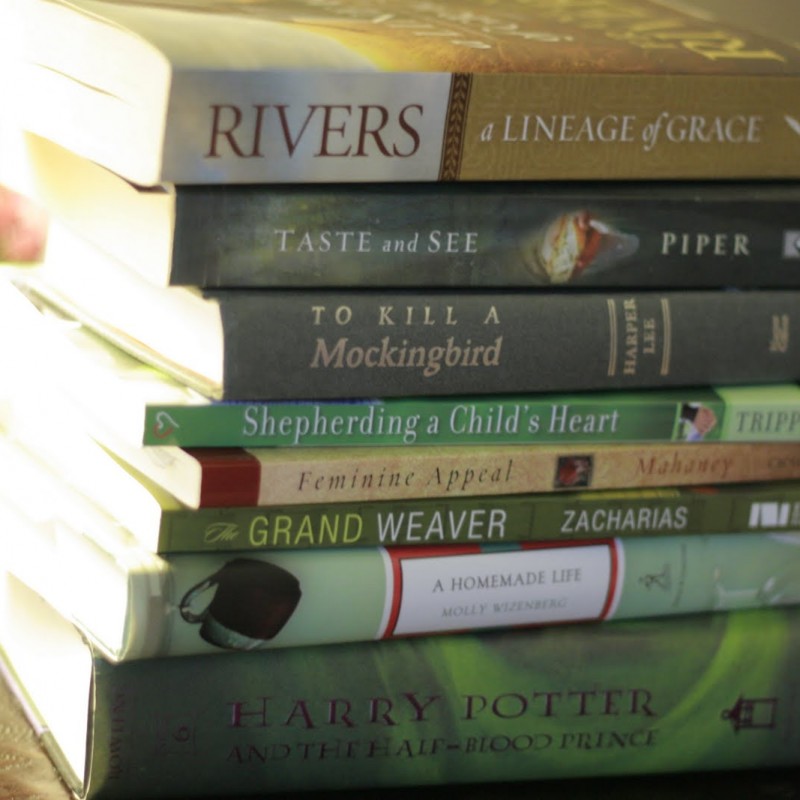 Summer Reading Update