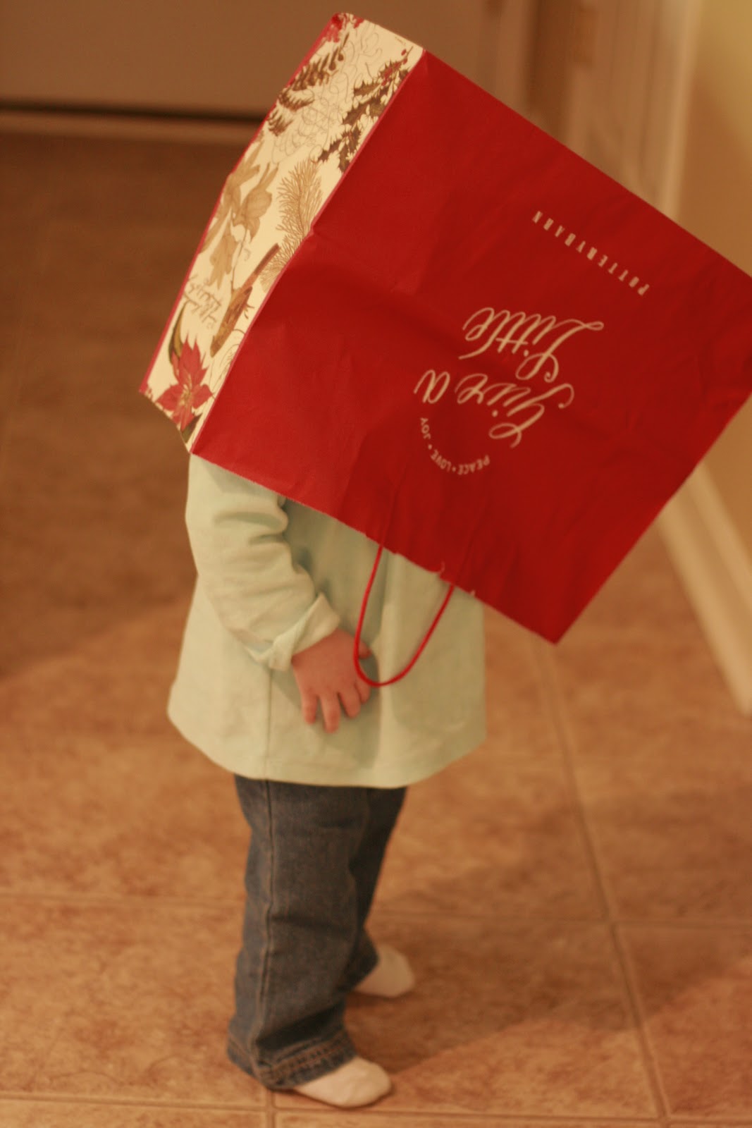 Wordless Wednesday – Bag Lady