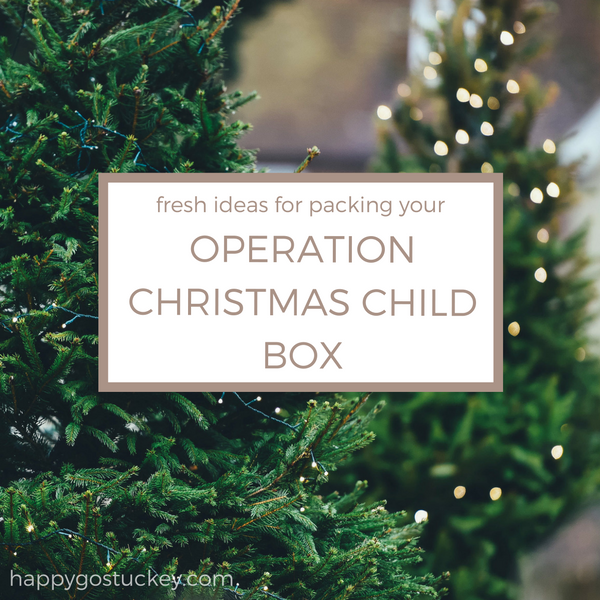 Fresh Ideas for Packing Your Operation Christmas Child Box